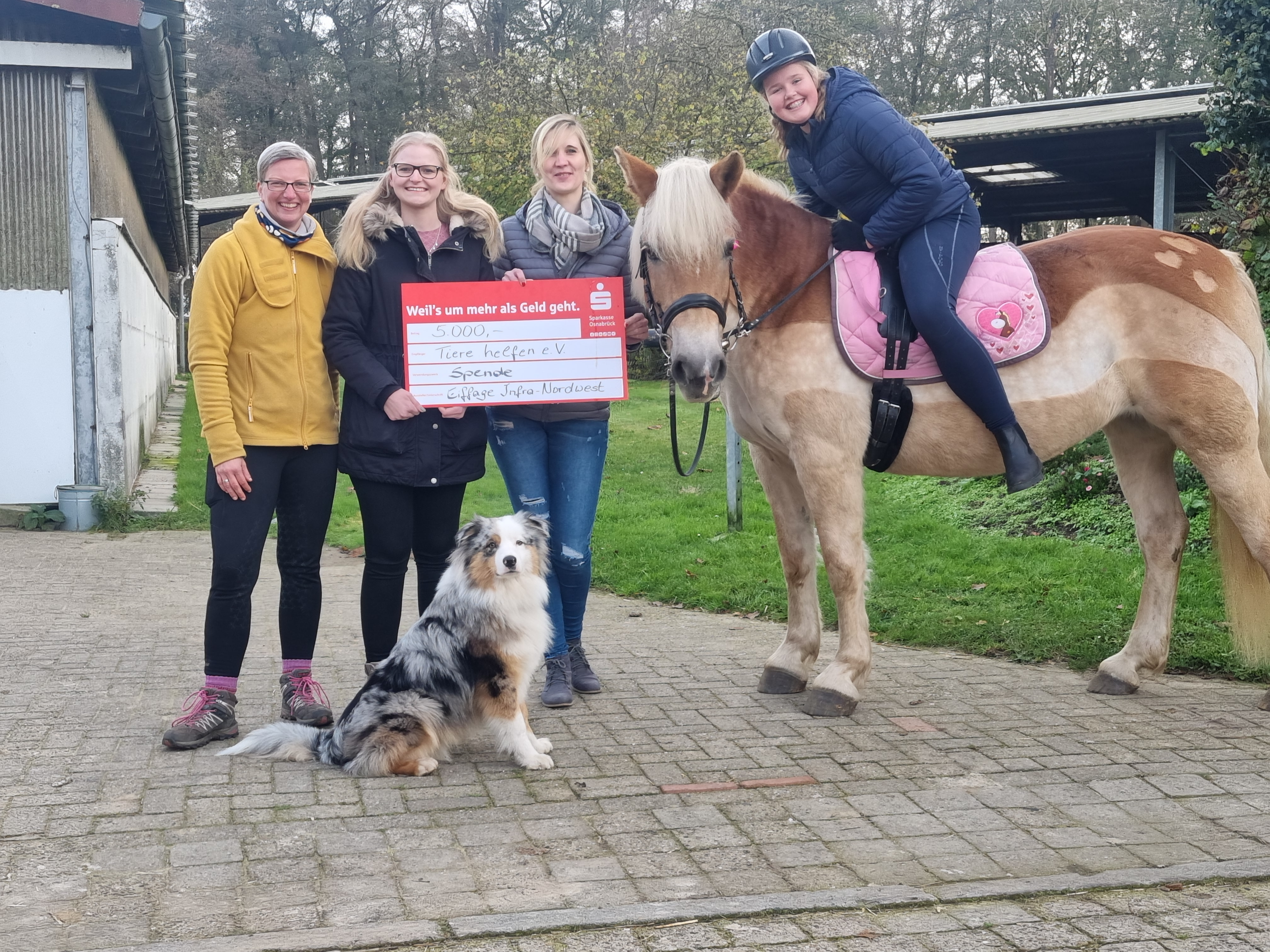 Spendenübergabe Tiere helfen